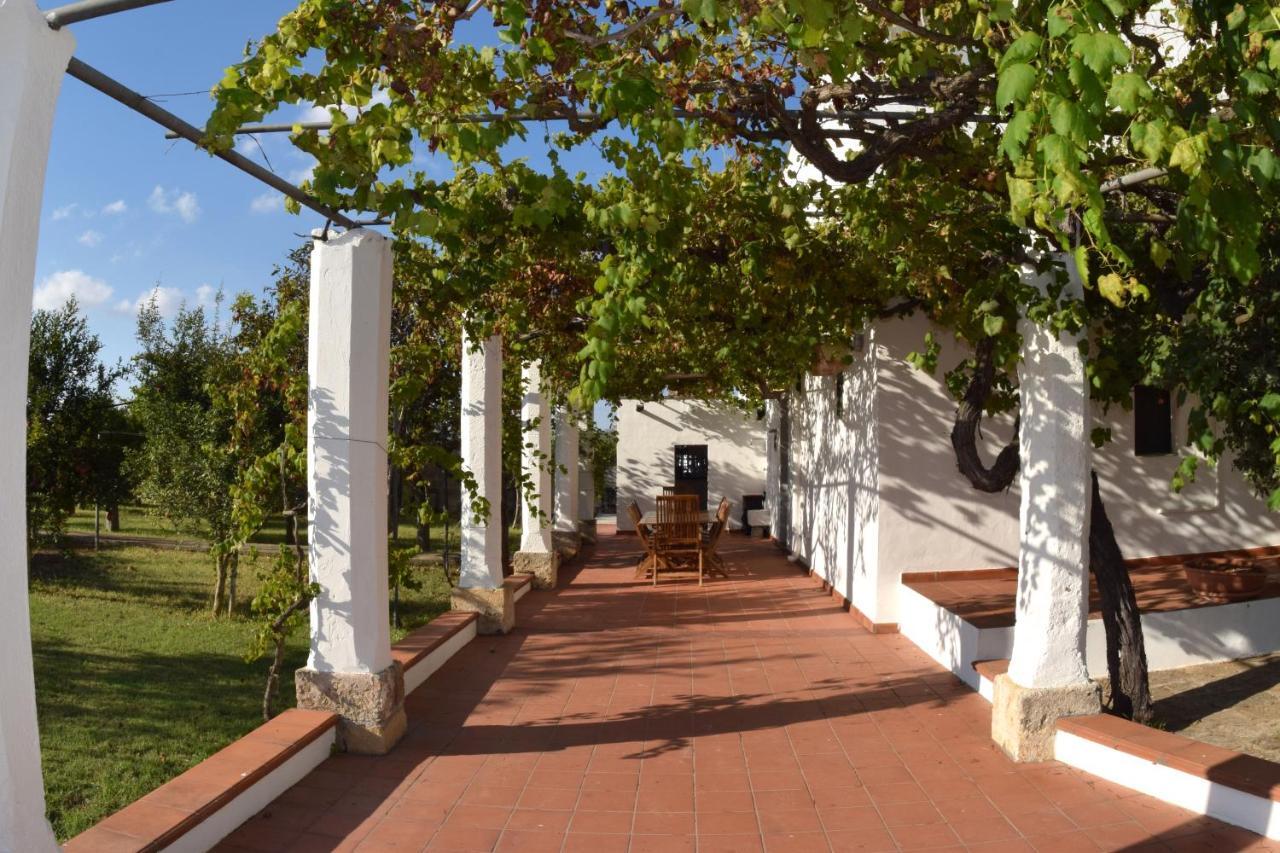 La Giara House ,Near Gallipoli Alezio Extérieur photo